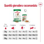 royal-canin-shn-dog-mini-adult-gallery (7)