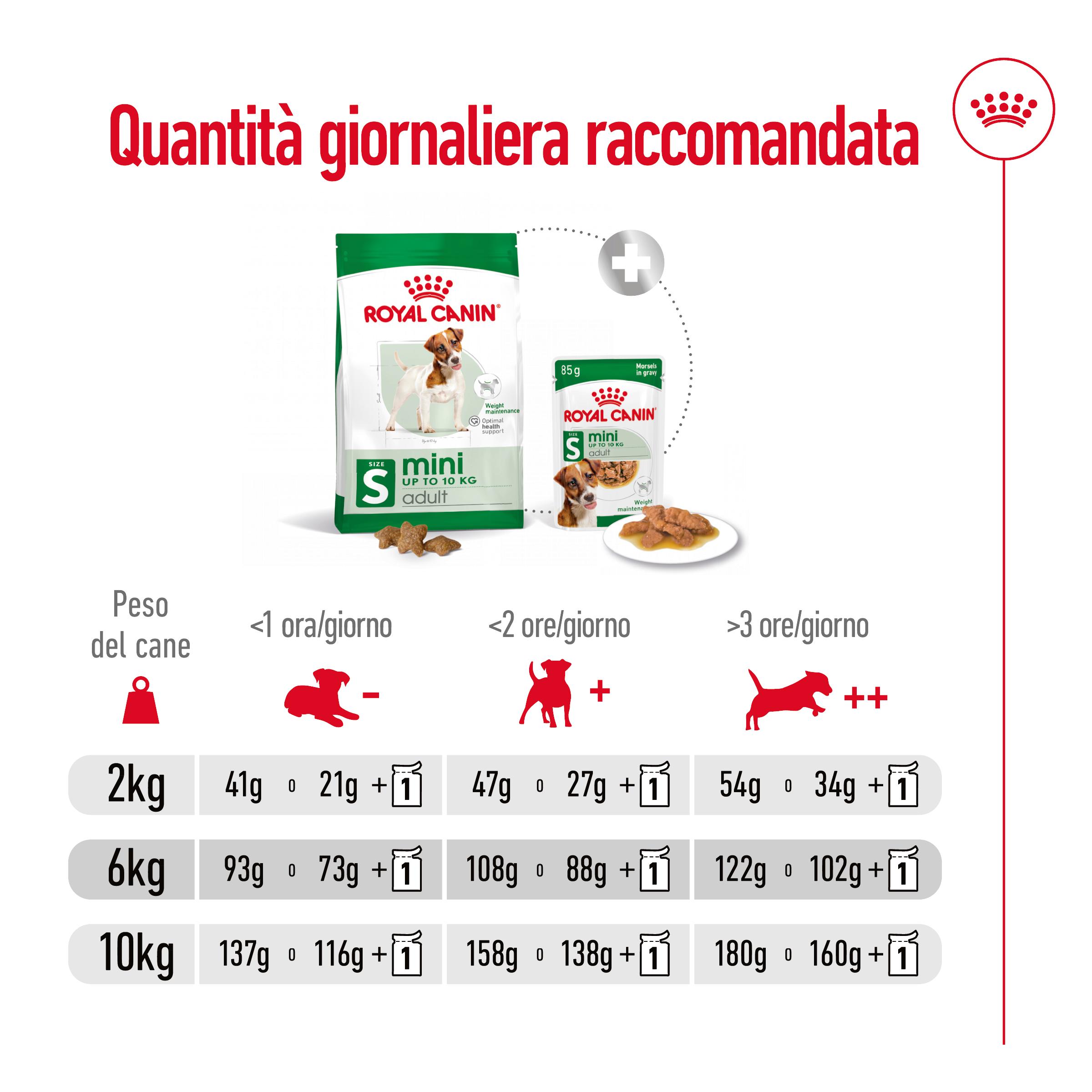 royal-canin-shn-dog-mini-adult-gallery (7)