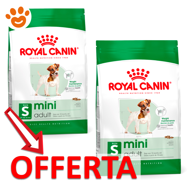 royal-canin-shn-dog-mini-adult-mp