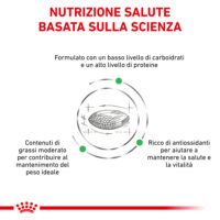 Infografica sulla nutrizione salutare basata sulla scienza