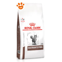 Sacco Royal Canin Gastrointestinal per gatti