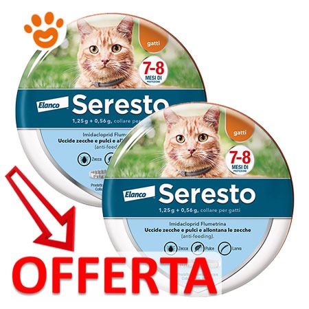 Seresto GATTO Pulci e Zecche Collare Antiparassitario per Gatti Bayer Elanco