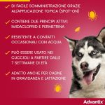 advantix-spot-on (3)