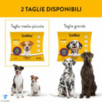 scalibor-collare-cani-taglia-piccola-media-gallery