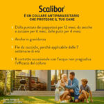 scalibor-collare-cani-taglia-piccola-media-gallery-3