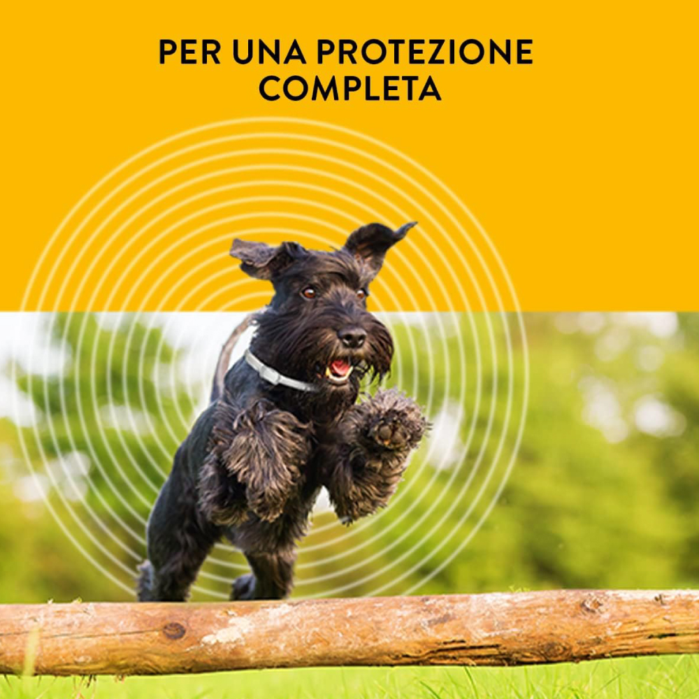 scalibor-collare-cani-taglia-piccola-media-gallery-5