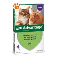 Elanco Advantage 80 mg Gatto oltre 4 kg