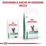 RC-VET-WET-CatDiabetic-TSIG-CV-Eretailkit-6-it_IT