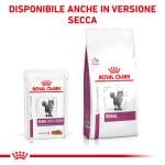 RC-VET-WET-CatRenChickTSIG-CV-Eretailkit-6-it_IT