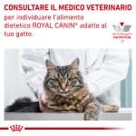 RC-VET-WET-CatSensCtrl-CV-Eretailkit-6-it_IT