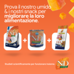 Linea N&D Pumpkin cibo umido e snack