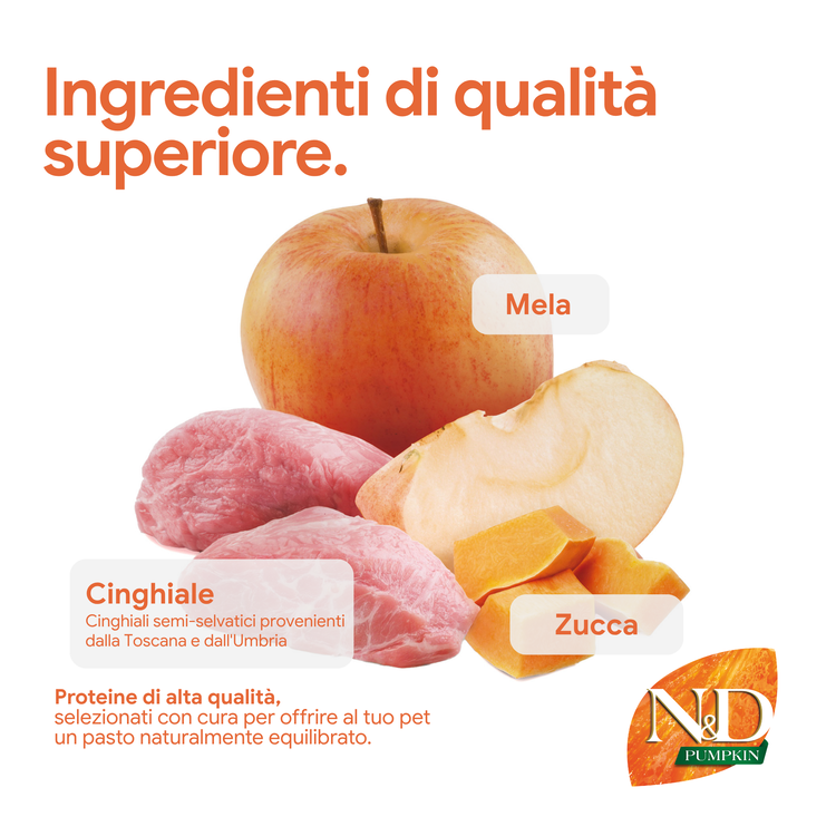 Mela, cinghiale e zucca ingredienti naturali