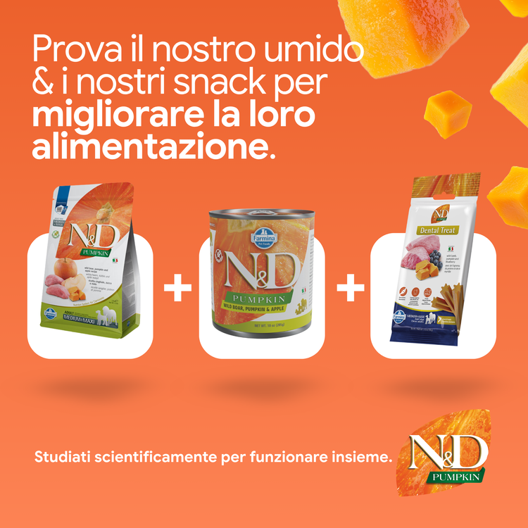 Linea N&D Pumpkin: secco, umido e snack