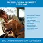 frontline-spot-antiparassitario-cani-2-10kg-gallery-3