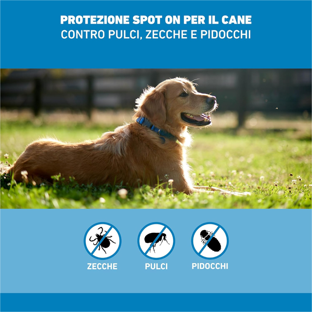 frontline-spot-antiparassitario-cani-2-10kg-gallery