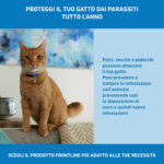 frontline-spot-antiparassitario-gatti-gallery-4