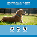 frontline-spot-cani-medi-10-20-kg-3-pipette-gallery