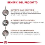 royal-canin-cat-renal-gastro-intestinal-85-grammi-gallery (2)