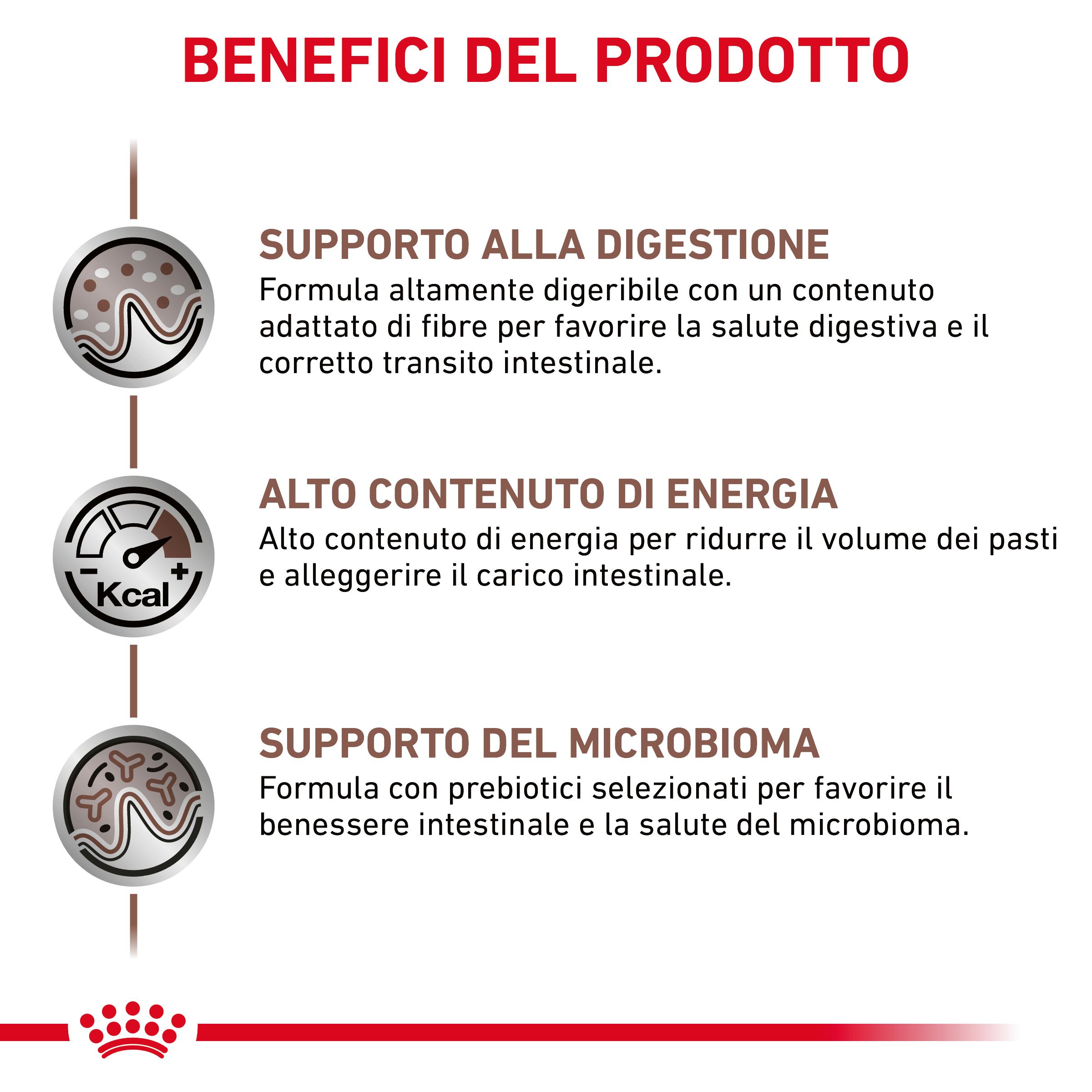 royal-canin-cat-renal-gastro-intestinal-85-grammi-gallery (2)