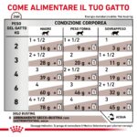 royal-canin-cat-renal-gastro-intestinal-85-grammi-gallery (4)