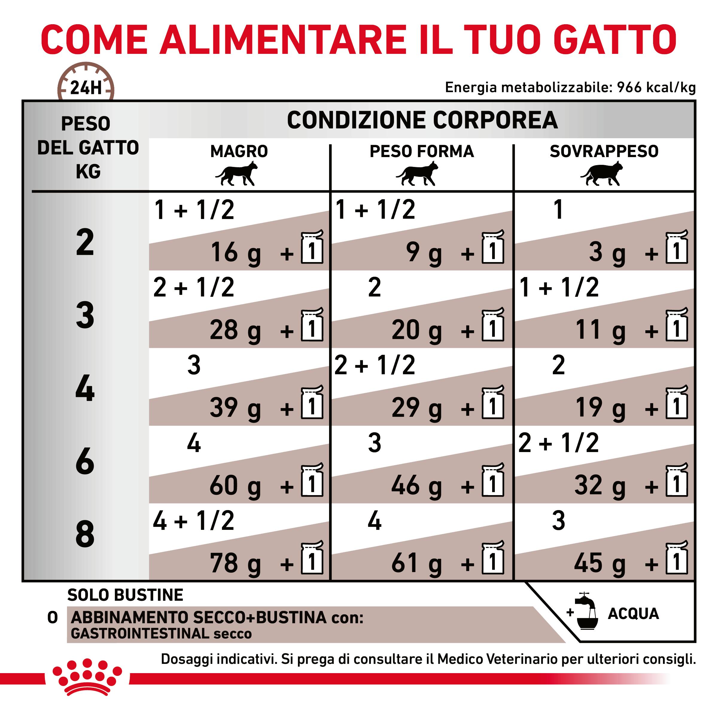 royal-canin-cat-renal-gastro-intestinal-85-grammi-gallery (4)