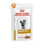 Cibo umido Royal Canin Urinary S/O per gatti