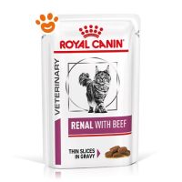 Royal Canin Cat Veterinary Diet Renal Manzo