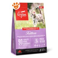 Sacco di crocchette Orijen Kitten con gattino