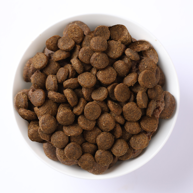 Ciotola di crocchette per cani