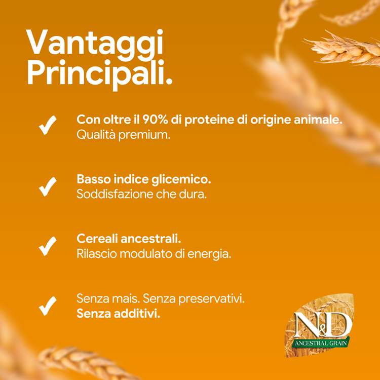 Elenco vantaggi prodotto con cereali ancestrali
