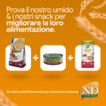 Prodotti N&D Ancestral Grain per cani