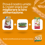 Umido e snack N&D Ancestral Grain per cani