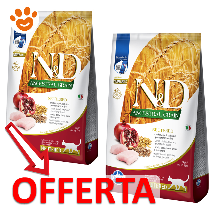 Offerta crocchette gatto N&D Ancestral Grain