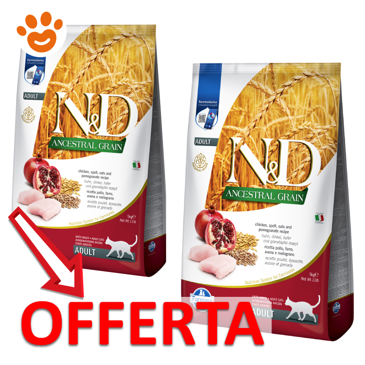 Offerta crocchette gatto N&D Ancestral Grain