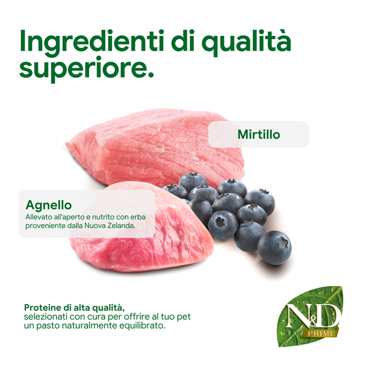 Agnello fresco e mirtilli su sfondo chiaro