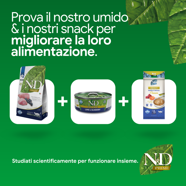Prodotti N&D Prime cibo umido e snack