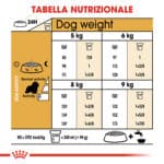 CAVALIER KING ADULT4