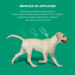 exspot-6-pipette-2-ml-cani-41-kg-55-kg-gallery-3