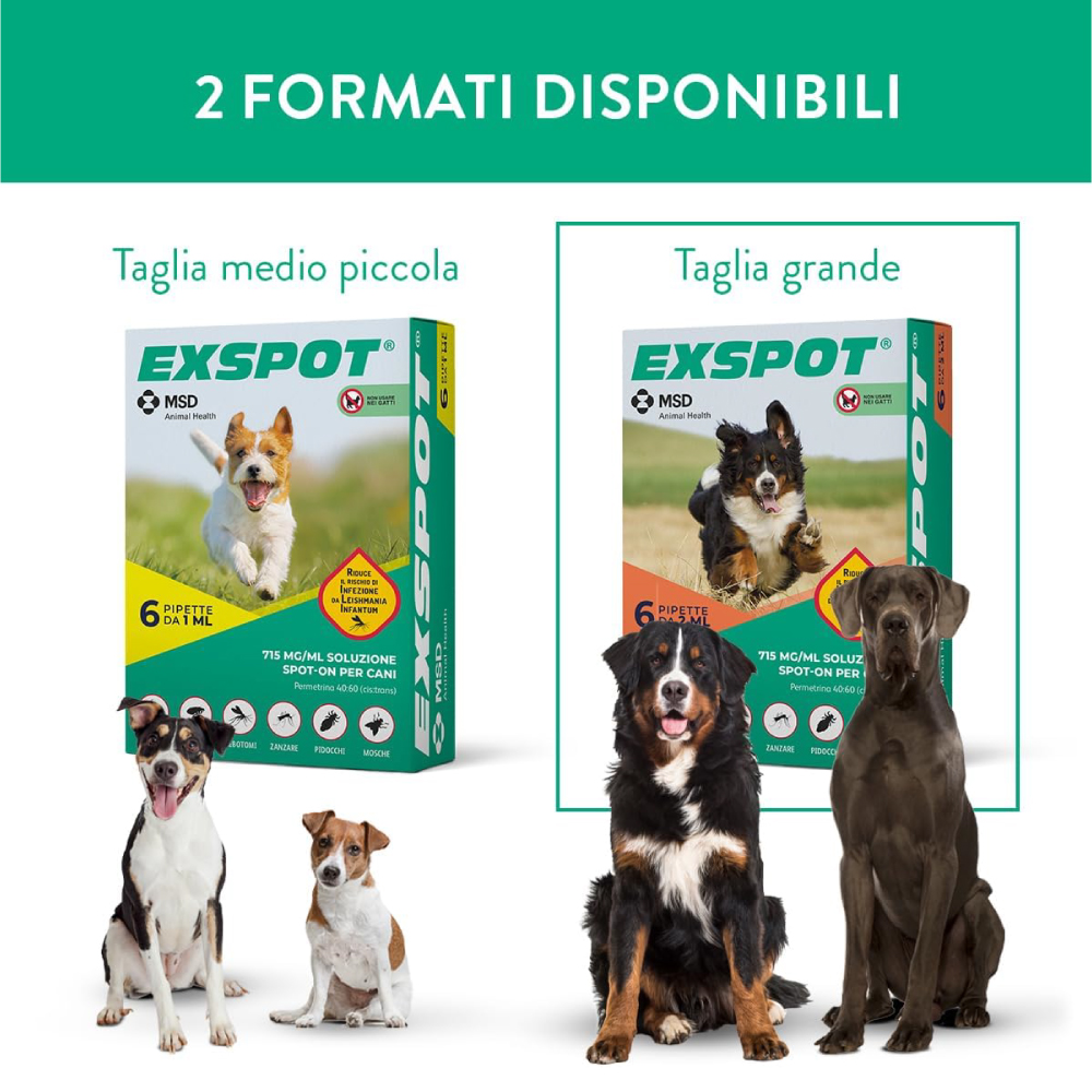exspot-6-pipette-2-ml-cani-41-kg-55-kg-gallery