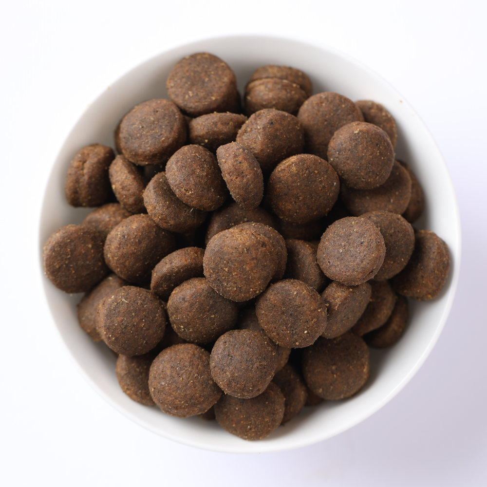 Ciotola di crocchette per cani marroni