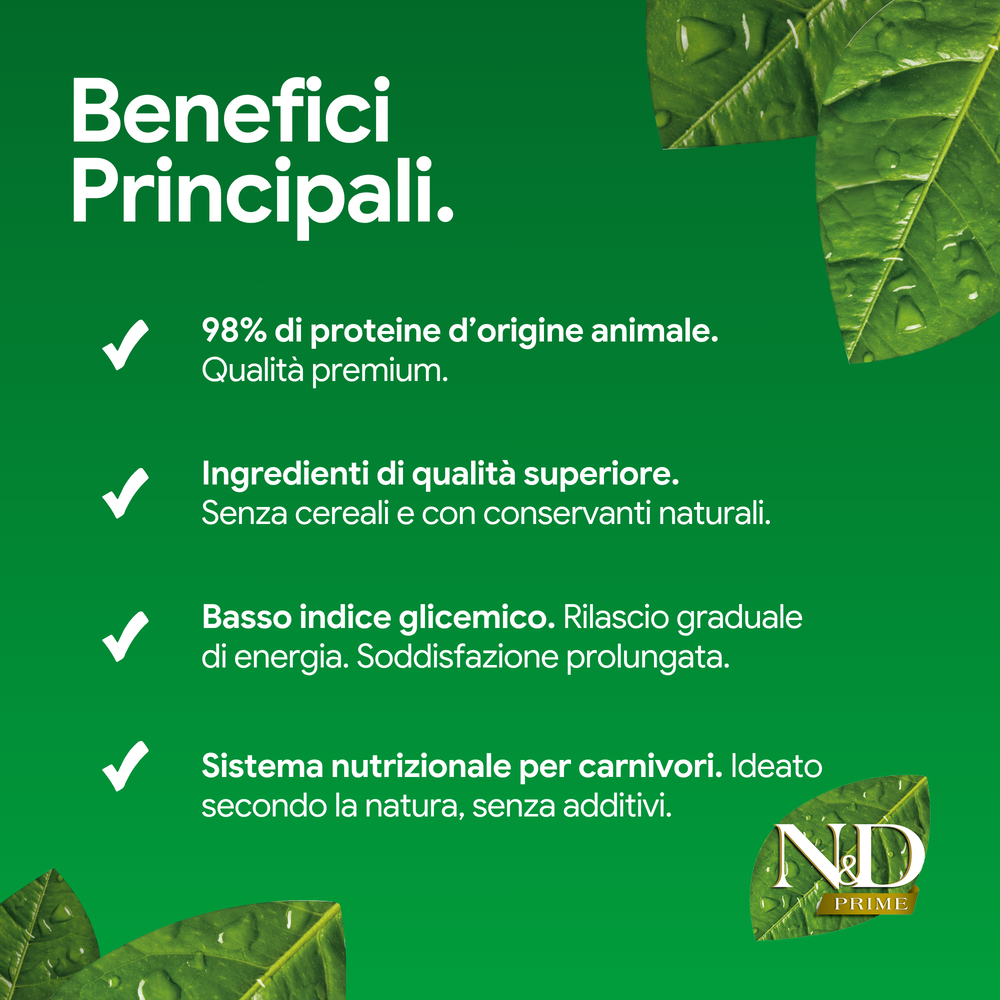 Benefici principali alimento premium per carnivori