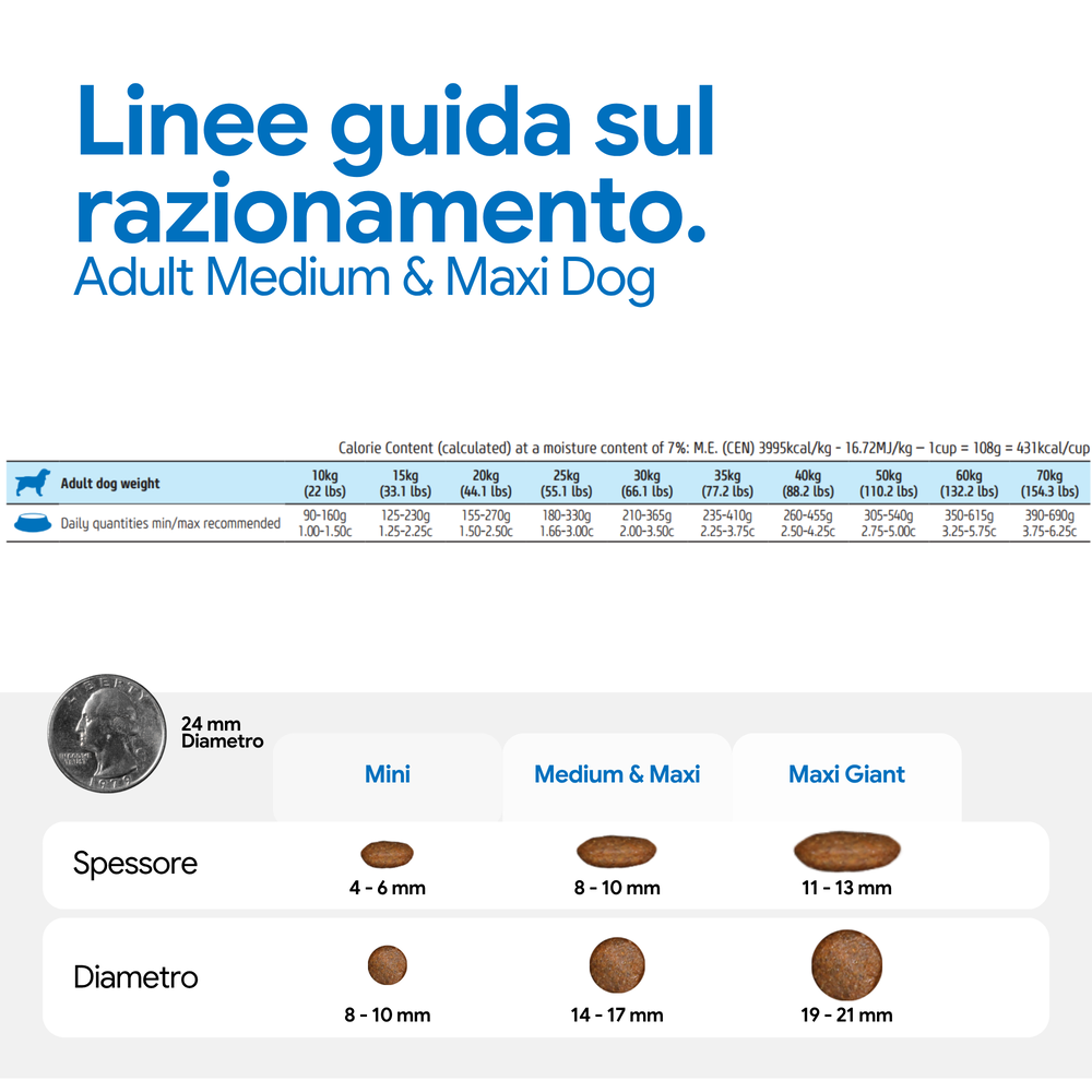 Linee guida razionamento Adult Medium & Maxi Dog
