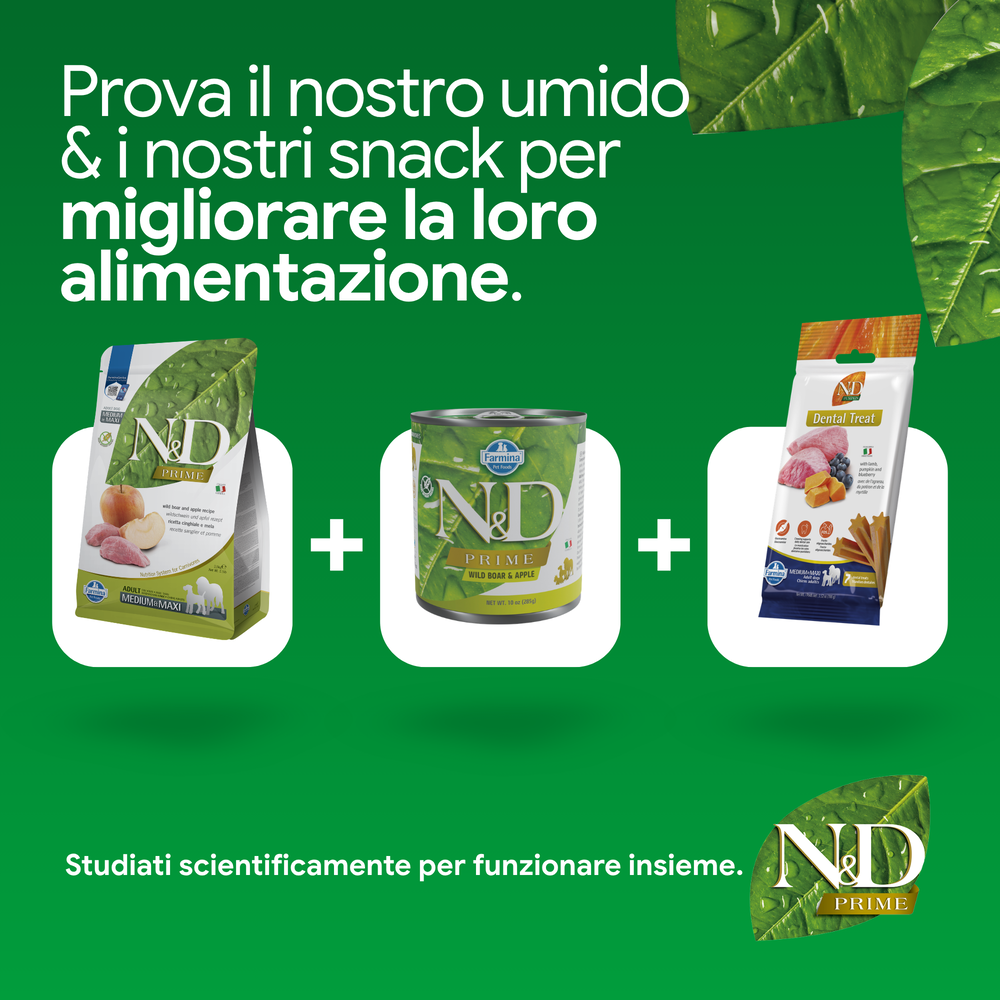 Prodotti N&D Prime cibo umido e snack cane