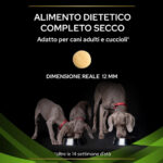 Cani grigi mangiano crocchette da ciotole