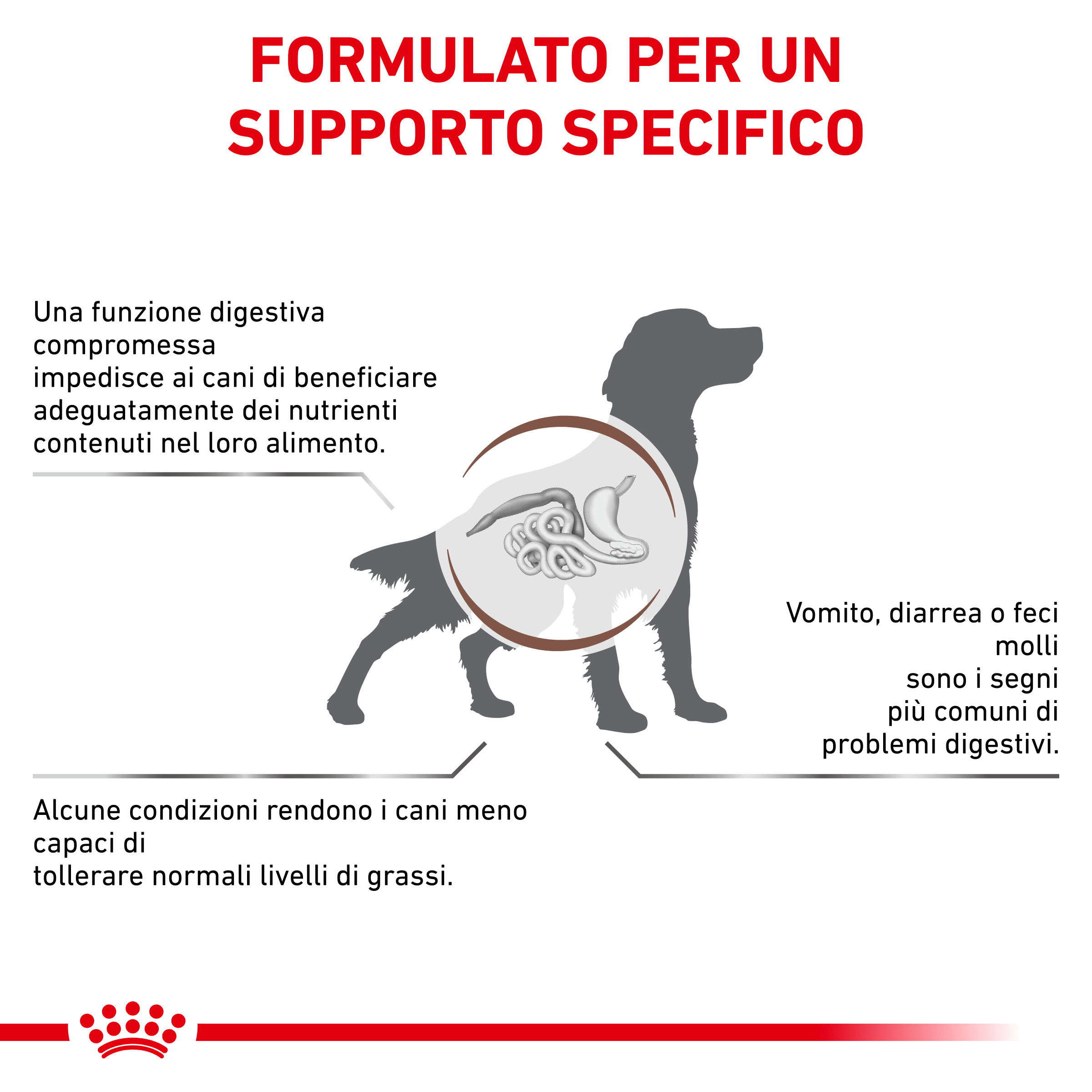 rc-dog-vhn-gastro-lowfat (1)