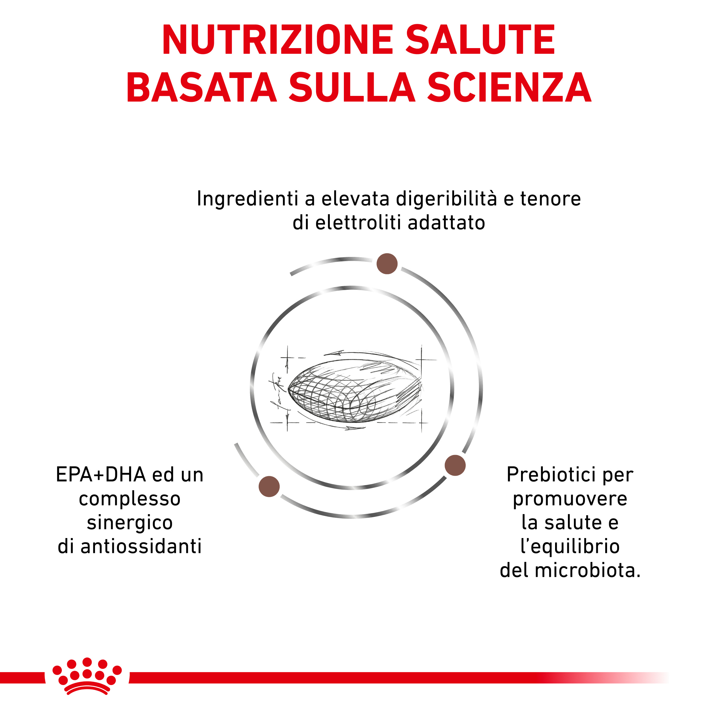 rc-dog-vhn-gastro-lowfat (2)