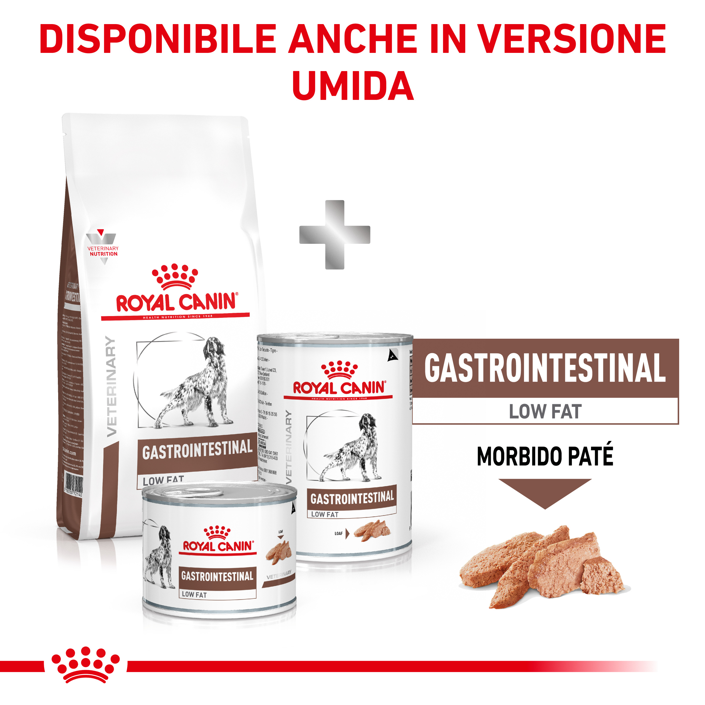 rc-dog-vhn-gastro-lowfat (5)
