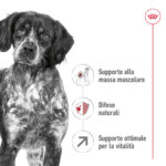 Cane bianco e nero con benefici nutrizionali