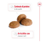 Crocchette per animali ricche di proteine e vitamine