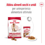 Cibo secco e umido Royal Canin Medium